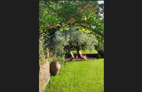 Il giardino segreto - Foto 20