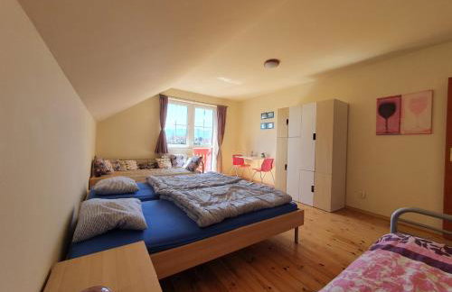 Villa Leika - Panoramablick am Riesengebirge - Foto 15