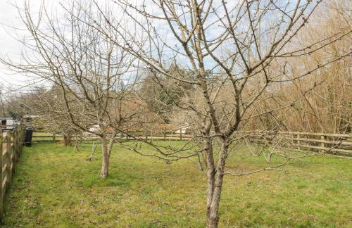 Bell tent 2 - Photo 10