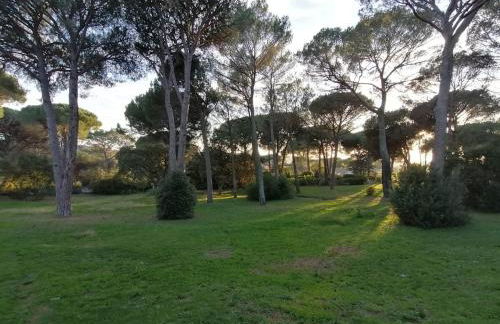 Résidences du golf - Foto 10