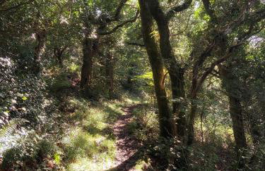 The Barley Mill - Foto 38