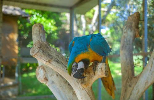 CAN BERNARDI - Foto 7