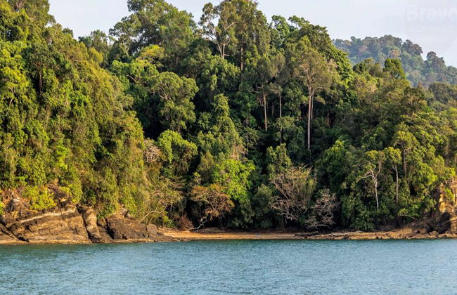 Mangroven-Safari und Höhlenforschung - Private Ganztagestour - Foto 5