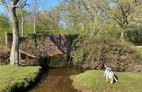 Lilypad A central location to explore the New Forest & South Coast - Foto 31