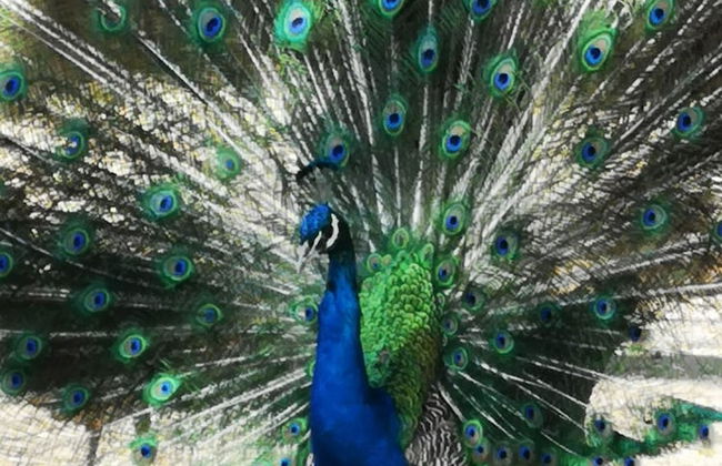 Complejo Río los Patos - Cabañas y Hostel - Photo 58