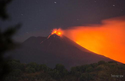 Ulivo Apartment - Foto 47