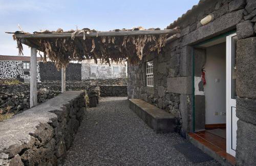 Adega Maciel - Foto 12