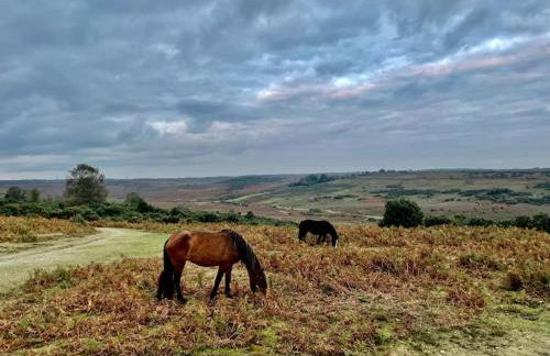 Arniss Lodge - Photo 30