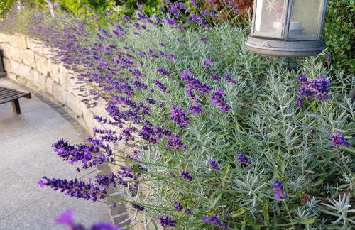 Business Apartment Ravensburg - sonnig, zentral & ruhig - Foto 17