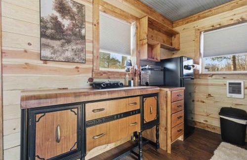 NEW! BEAR Necessities tiny home, outdoor theater! - Foto 28
