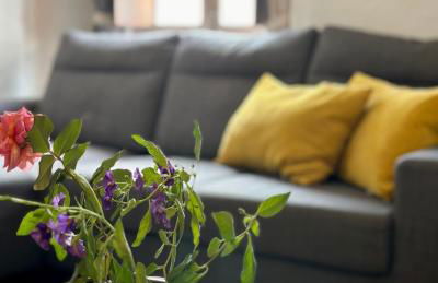 Hakuna Matata - Foto 59