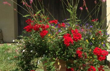 Gîte Au Coeur Du Pays Cathare - Foto 35