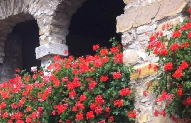 Affittacamere Nonna Leni - Foto 42