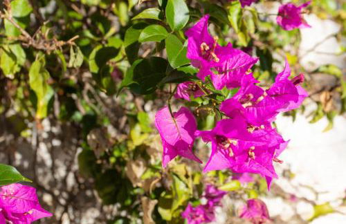 Satywizus #22- Duplex panoramic sea view 2Bdr, AC, swimpool, parking, petanque - Photo 42