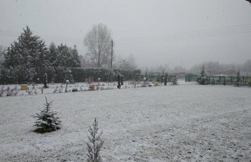 Kastor Chalets - Foto 6