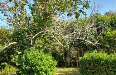 Lemontree Apartments - Foto 39