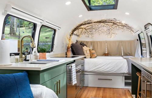 Airstream w Bathtub, River, & Hot Tub - Foto 21