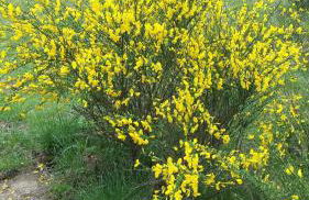 Mach mal Pause bei Geni & Bernd - Foto 13