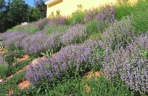 Villa Katarina - Foto 30