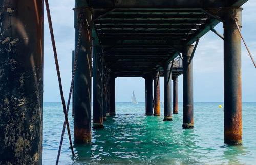 Les Voiles Blanches T2 luxe à 100m de la plage - Foto 45