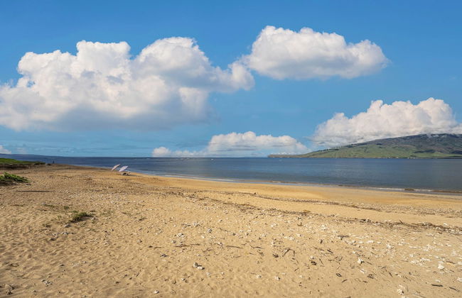 Koa Lagoon 506 by Maui Rental Group - Photo 24