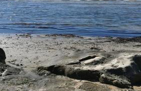 App Palčić K - Photo 14