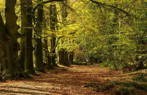 1 Lake View - Foto 34