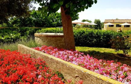 Punta dei Lecci - Foto 7