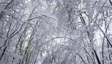 Domek przy Modrzewiach - Foto 4