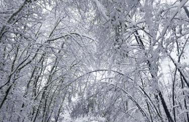 Domek przy Modrzewiach - Foto 4