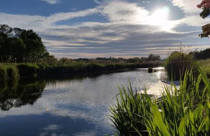 Ferienwohnungen Dirk Laurisch - Foto 49