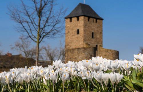 Ahrterrassen Penthouse - Foto 13