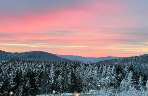 Modern Condo with Ski In & Ski Out - Silver Creek Lodge, Snowshoe - Foto 57