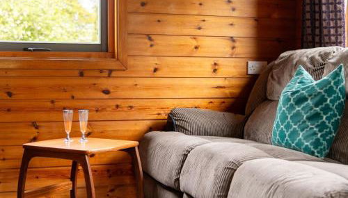 Chalet Lodge 4 - Hot Tub Lodge by Interhome - Foto 3