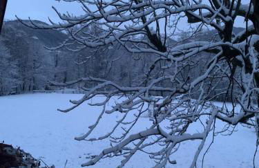 Mountain Chalet Ca' dal Ghiru by Villa Bernardino Galliari - Foto 27