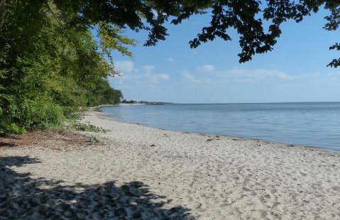 Ferienhaus Usedom - Foto 18