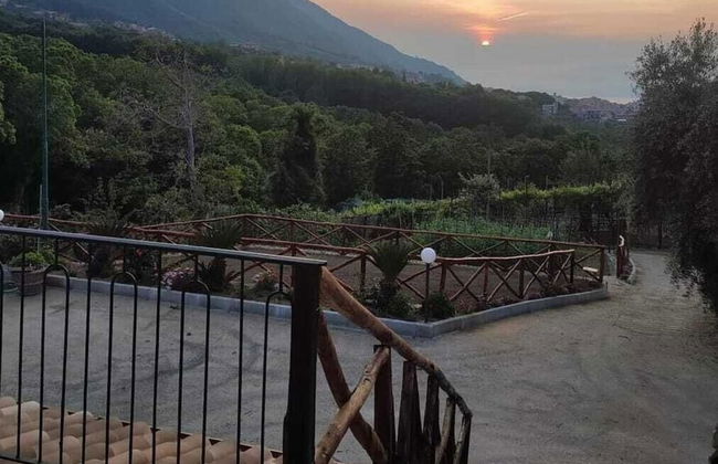 La masseria - Foto 15