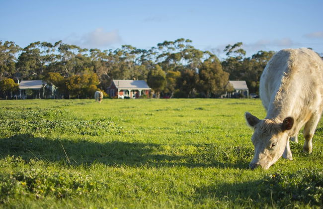 Freshwater Creek Cottages and Farm Stay - Foto 1