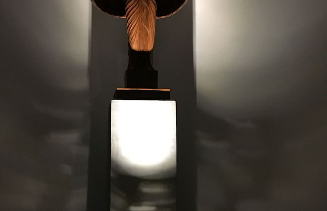 Silence Garden - Foto 42