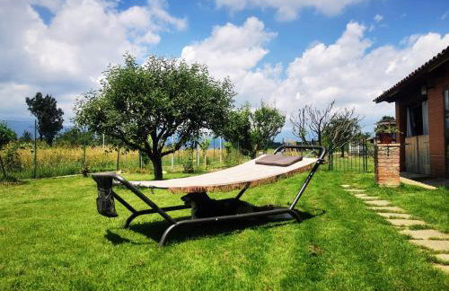 Orto del pettirosso - Foto 25