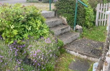 Gästehaus zum Stricker, Eckweg 9 - Foto 3
