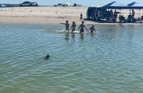 Lakeside Paradise! - Foto 20