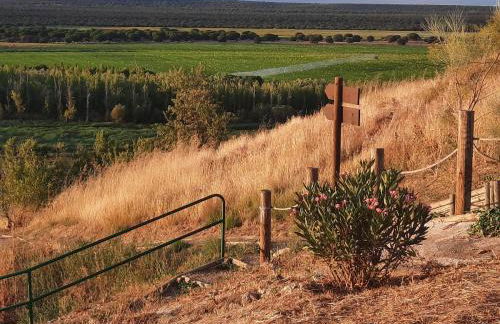 Beautiful Alamedas, un santuario donde el tiempo se detiene - Foto 47