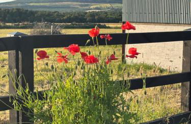 Cottage Farmhouse - Photo 30