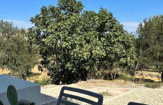 Karivaliko - Foto 70