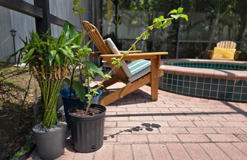 Jungle Oasis By Busch Gardens USF and Amphitheater - Foto 24