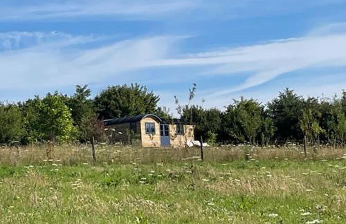 Novelist Shepherd's hut - Foto 49