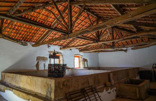 Casa Dr Ramiro Salgado - Douro Superior, Torre de Moncorvo - Foto 38