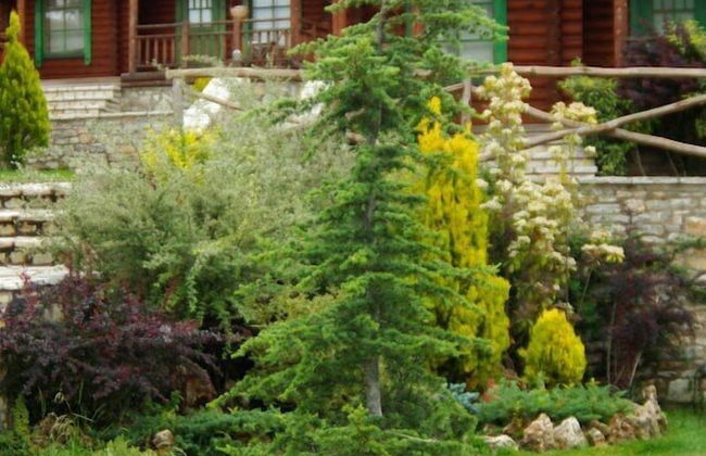 Xenios Chalets - Foto 50