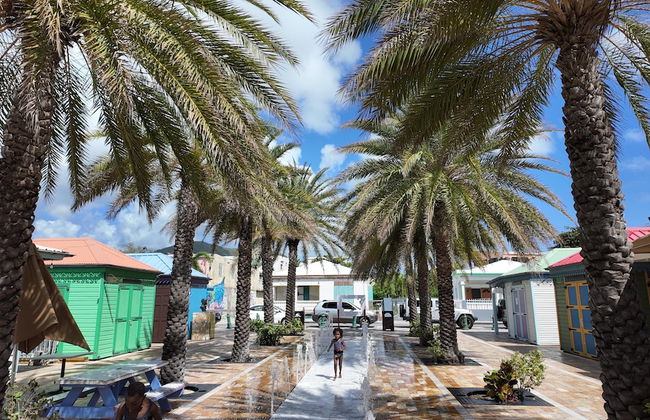 Charming 1-bed Studio in Simpson Bay - Beacon Hill - Foto 20